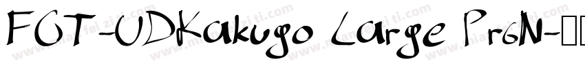 FOT-UDKakugo Large Pr6N字体转换